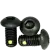 291
