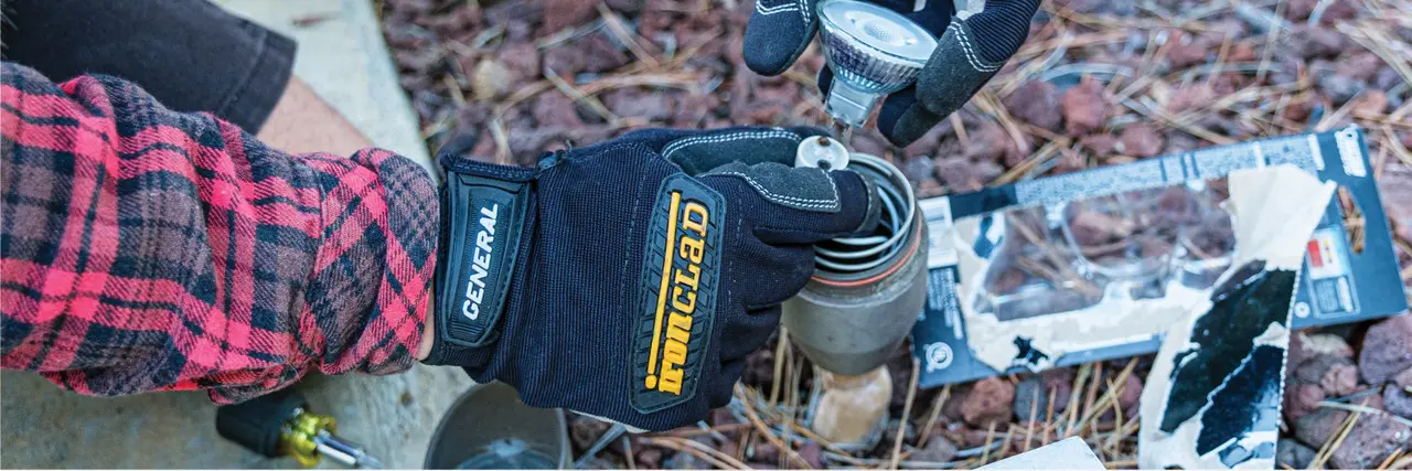 cat-head-gen__63932.original