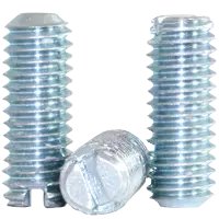 Slotted Screws
