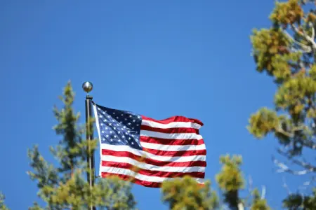 Buy USA Finished Hex Nuts Online at South Coast Fasteners